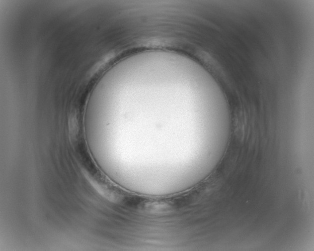 X0000082150208200702021643