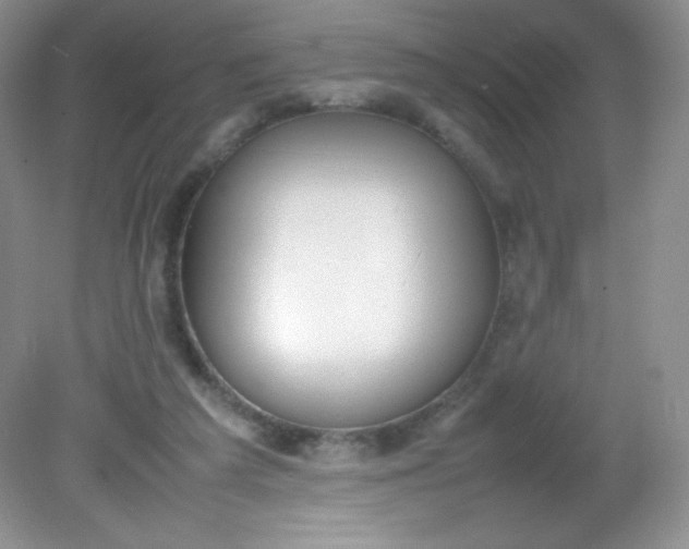 X0000082150209200702021643