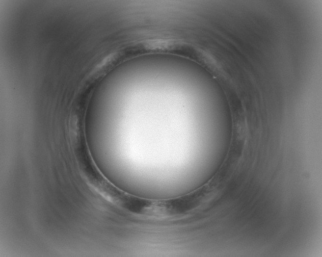 X0000082150211200702021643