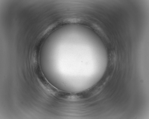 X0000082150212200702021643