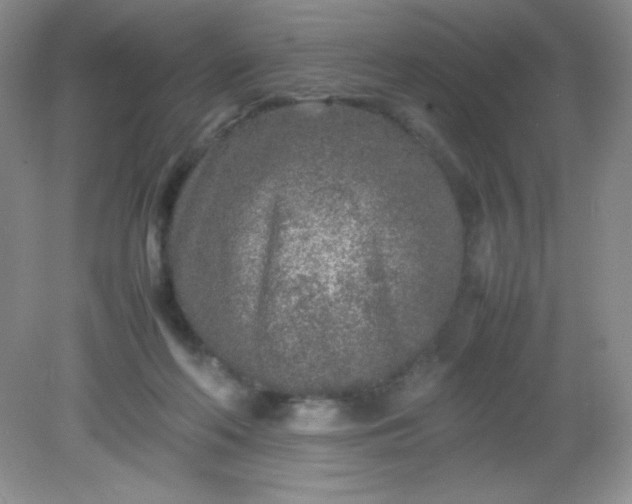 X0000082150214200702021643