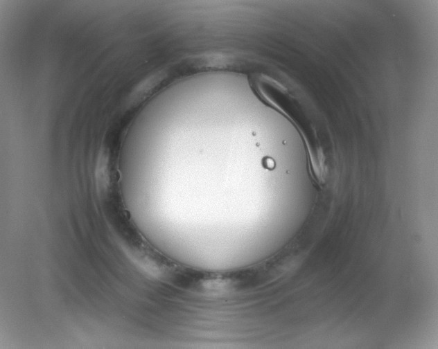 X0000082150216200702021643