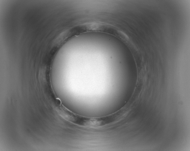 X0000082150217200702021643