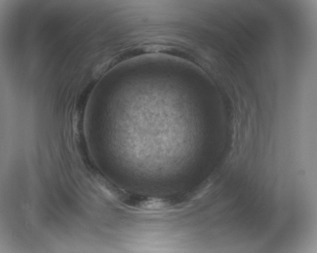 X0000082150219200702021643