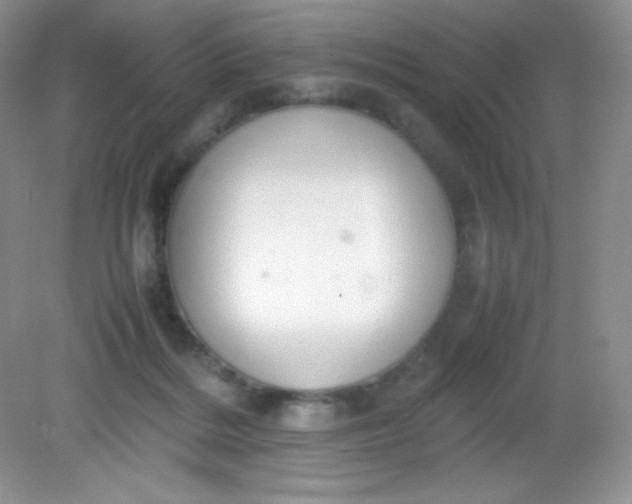 X0000082150220200702021643