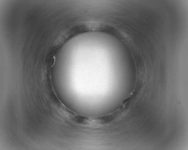 X0000082150221200702021643