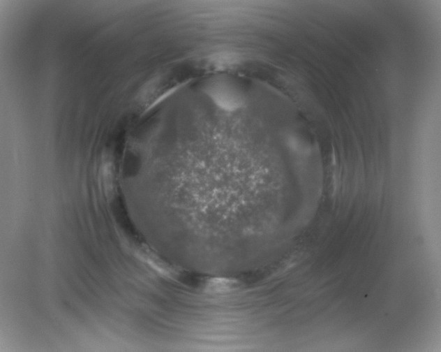 X0000082150222200702021643