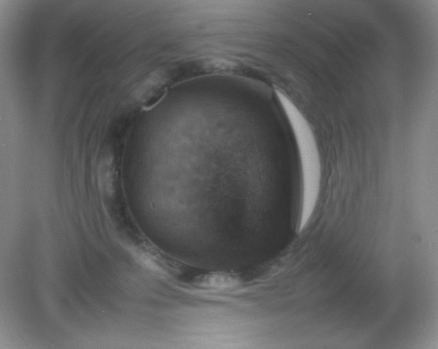 X0000082150223200702021643