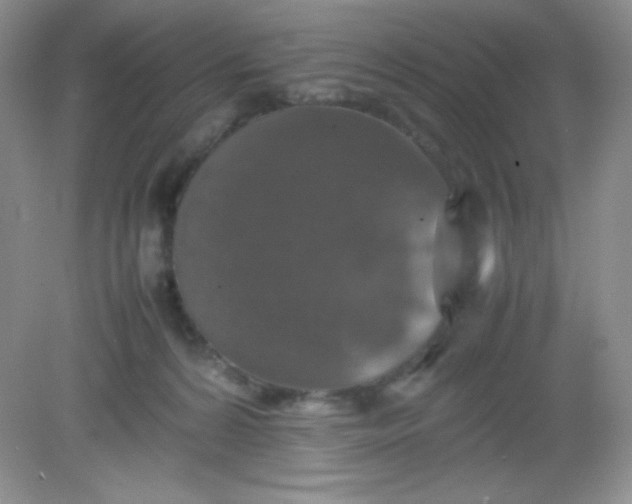 X0000082150224200702021643