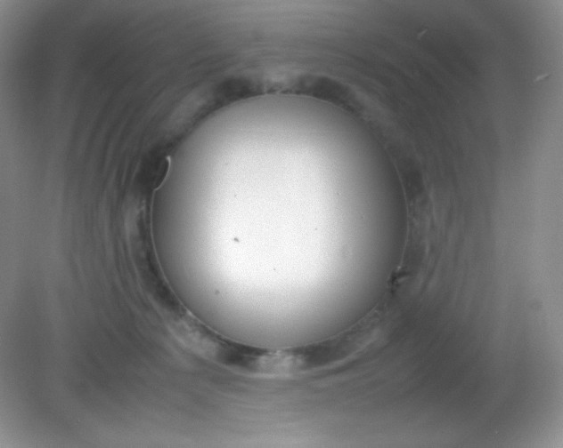 X0000082150225200702021643