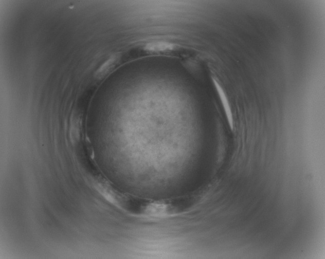 X0000082150227200702021643