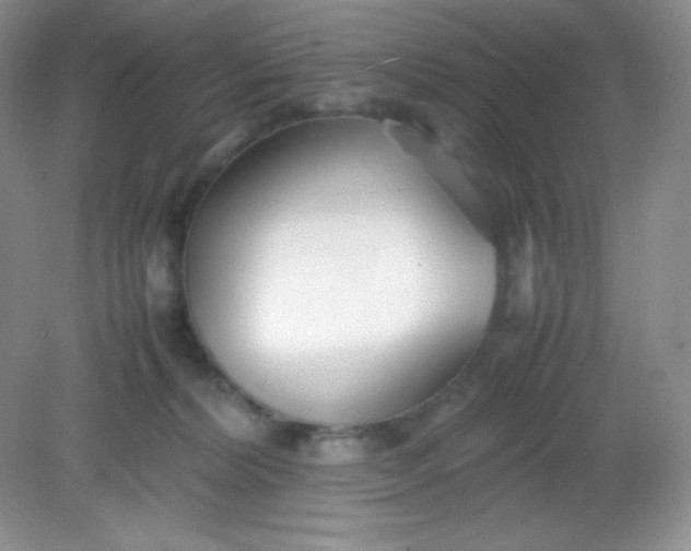 X0000082150228200702021643