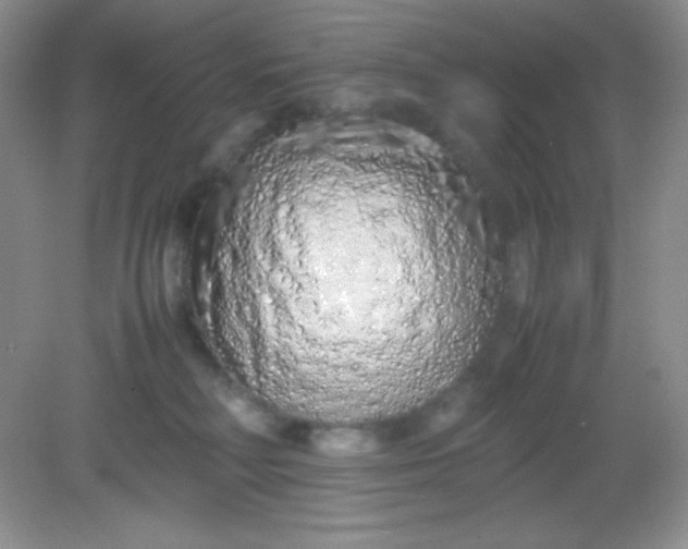 X0000082150230200702021643