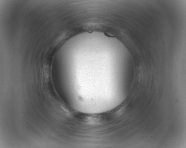 X0000082150232200702021643