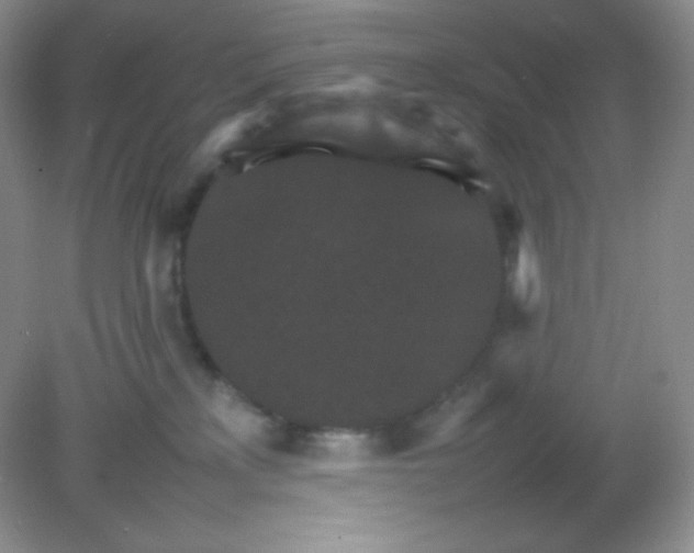 X0000082150233200702021643