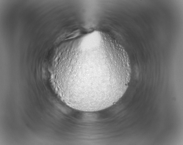 X0000082150234200702021643