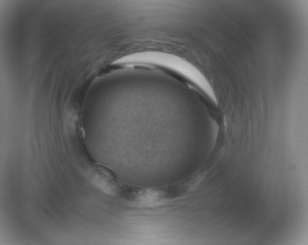 X0000082150235200702021643