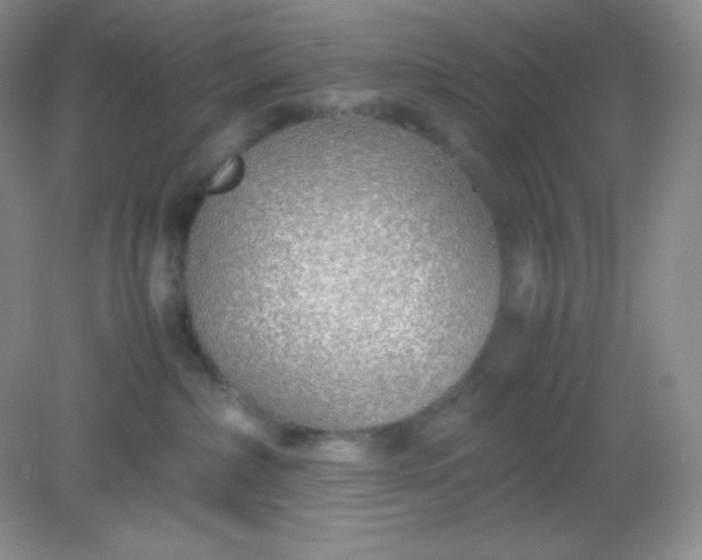 X0000082150236200702021643