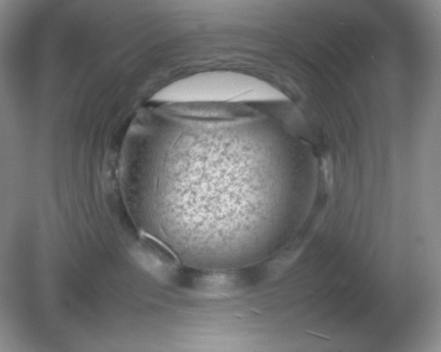 X0000082150237200702021643