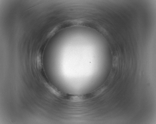 X0000082150238200702021643