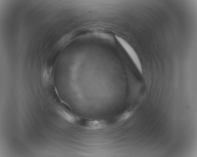 X0000082150239200702021643