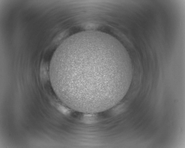 X0000082150240200702021643