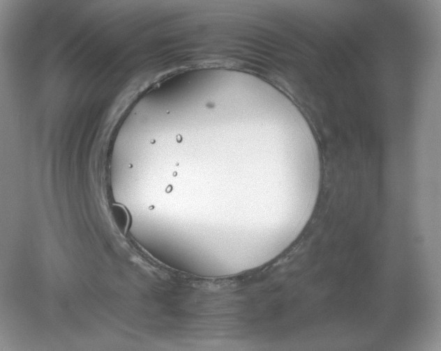 X0000082150241200702021642