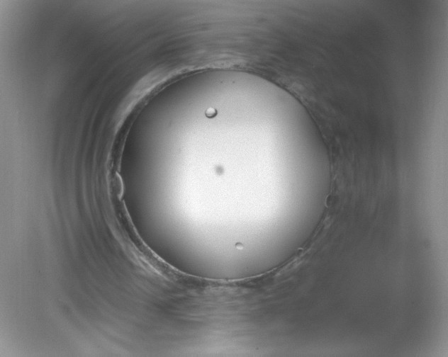 X0000082150242200702021642