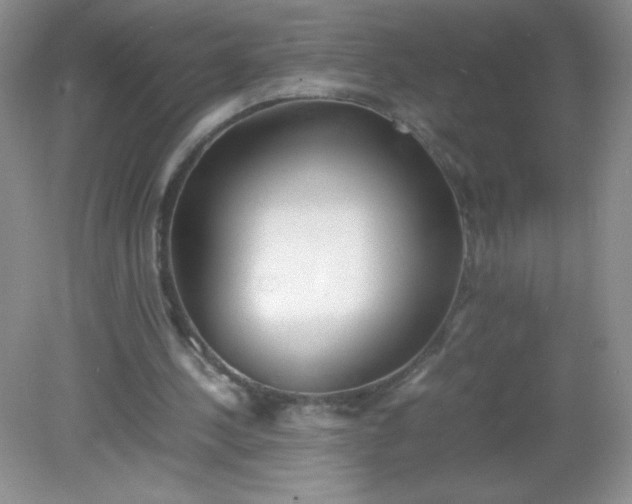 X0000082150244200702021642