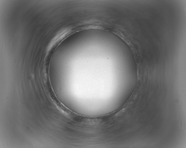 X0000082150245200702021642