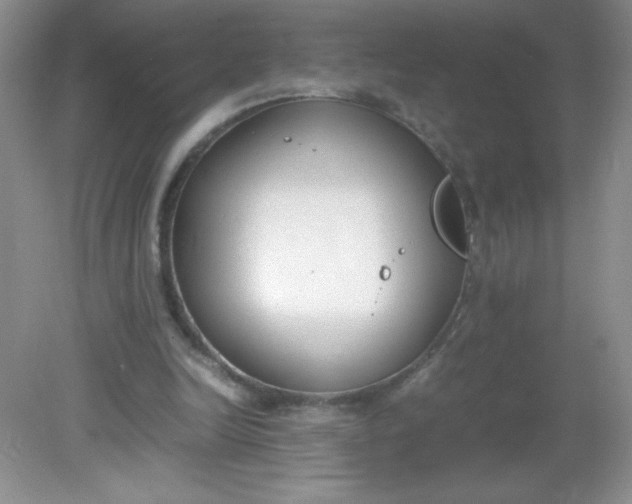 X0000082150246200702021642