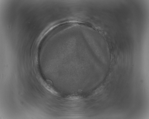 X0000082150247200702021642