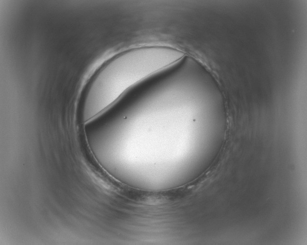 X0000082150248200702021642