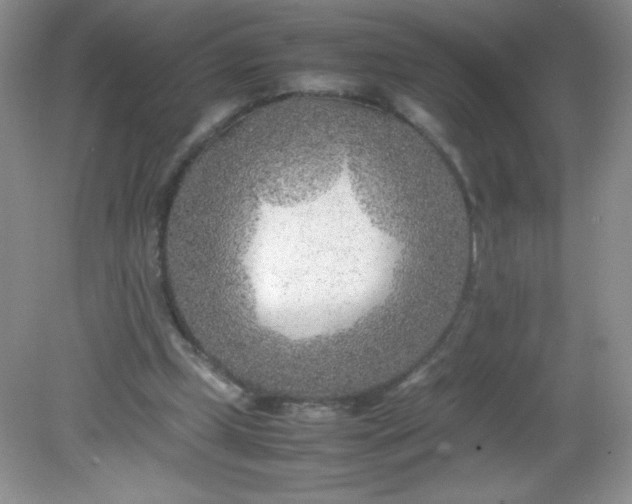 X0000082150249200702021642