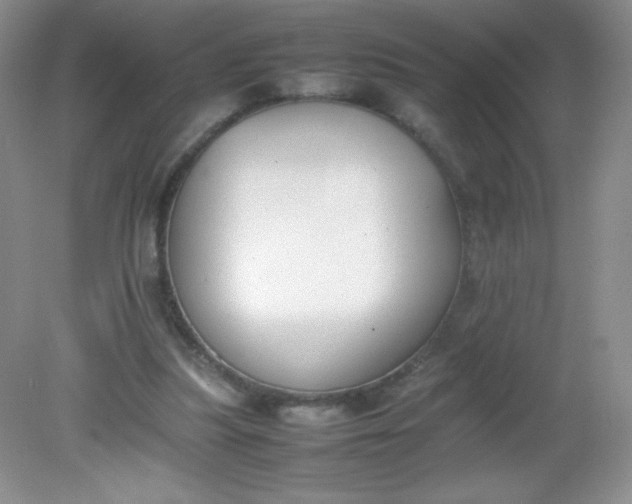 X0000082150251200702021642