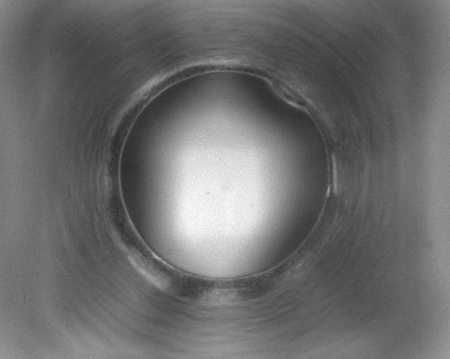 X0000082150252200702021642