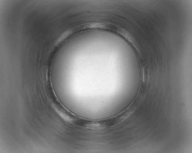 X0000082150253200702021642