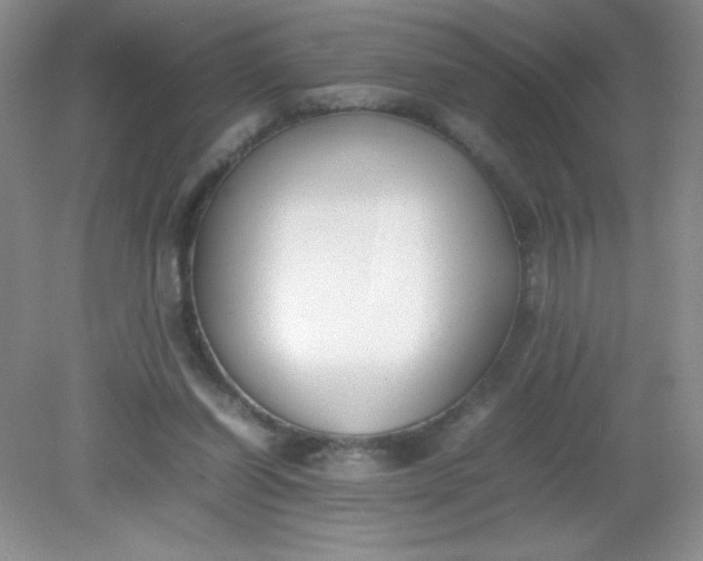 X0000082150254200702021642