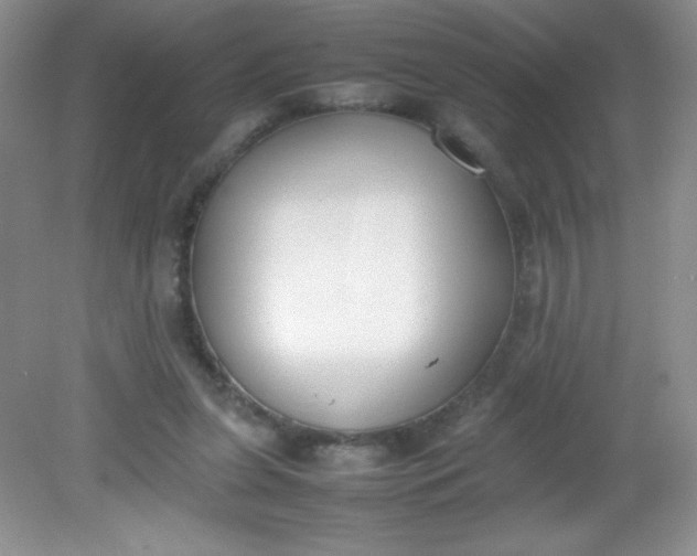 X0000082150255200702021642