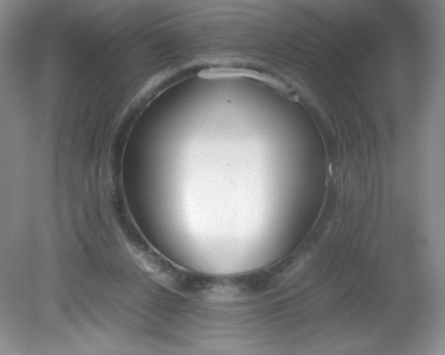 X0000082150256200702021642