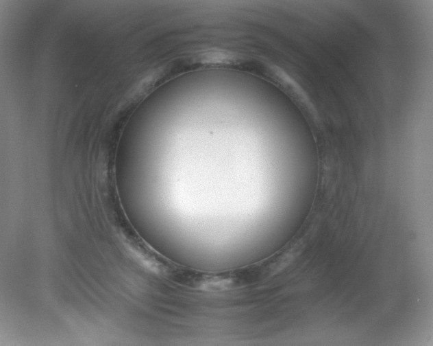 X0000082150257200702021642