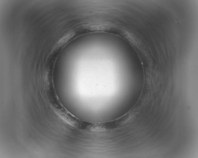 X0000082150258200702021642