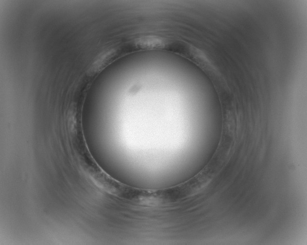 X0000082150259200702021642