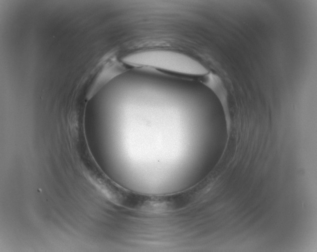 X0000082150260200702021642