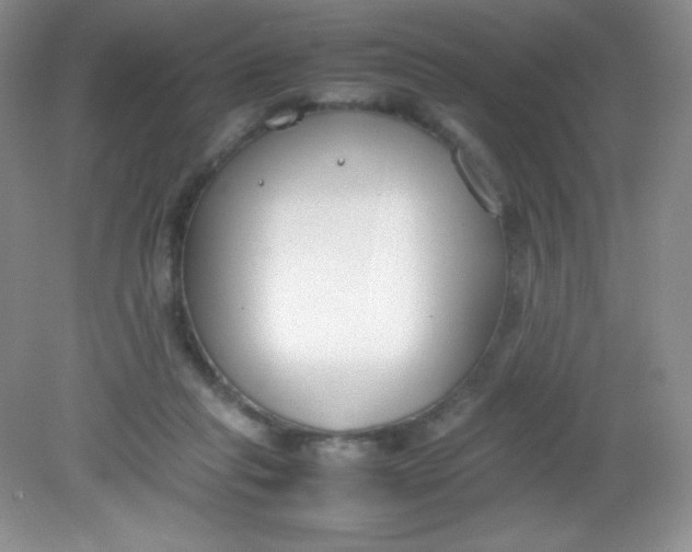 X0000082150261200702021642