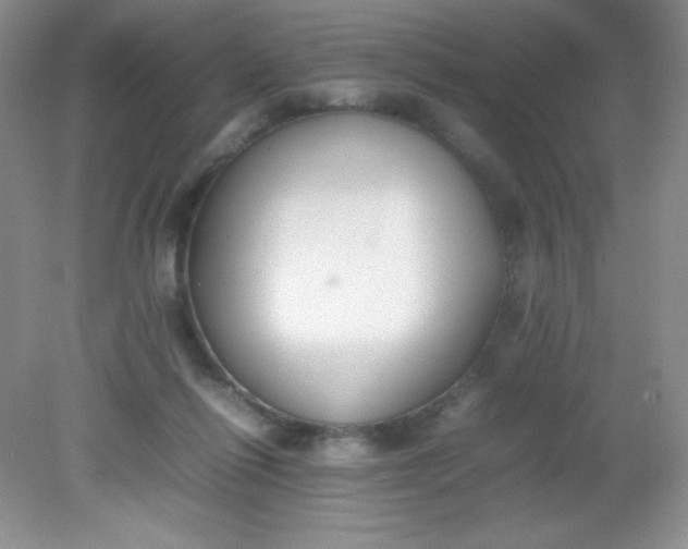 X0000082150262200702021642