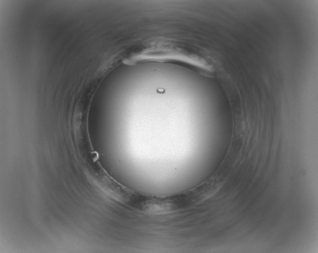 X0000082150263200702021642