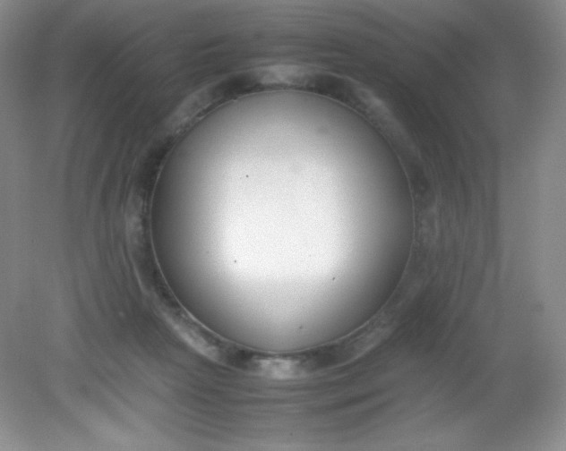 X0000082150265200702021642