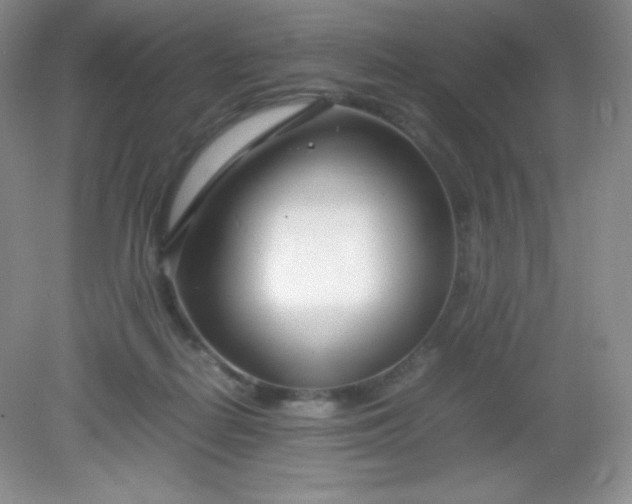 X0000082150266200702021642