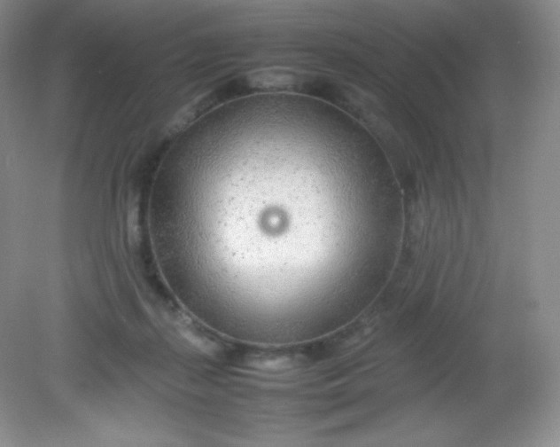 X0000082150267200702021642